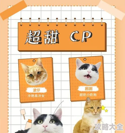 猫咪别追我新手必看！爆料全新玩法攻略与技巧详解