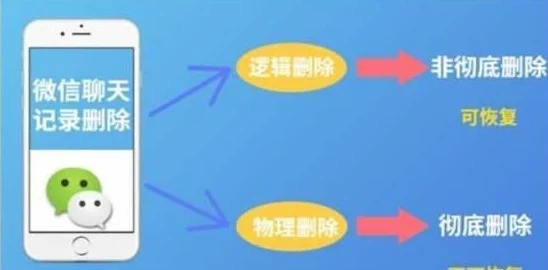 小小蚁国独家爆料：高效恢复体力技巧与全新方法揭秘