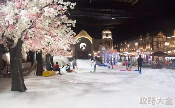 《我的世界雪屋建筑特色、内部结构详解、生存技巧分享》