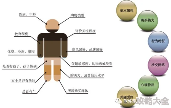 锚点降临深度解析：梅鹿特个性化培养方案指南