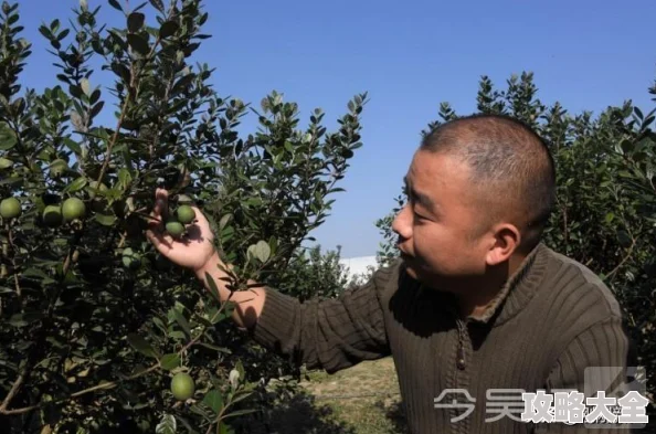 桃源深处有人家草帽在哪？桃源深处有人家草帽位置一览（详细获取攻略）