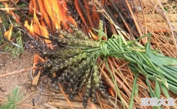 王者荣耀姬小满零食大作战新皮肤怎么样？王者荣耀姬小满零食大作战新皮肤效果/价格/上线时间详情介绍